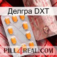 Делгра DXT new13